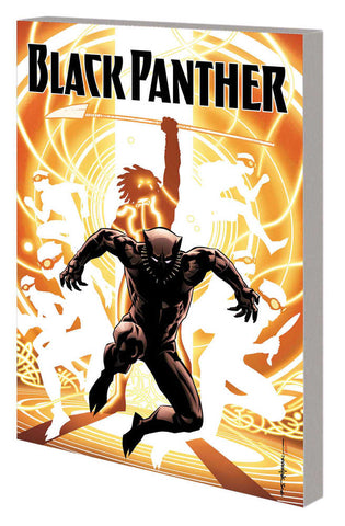 Black Panther Volume 2: Nation Under Our Feet