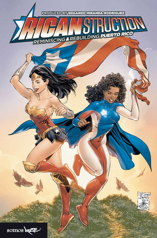 Ricanstruction: Reminiscing and Rebuilding Puerto Rico
