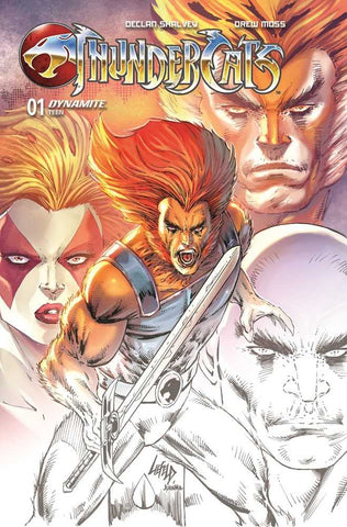 Thundercats #1 2nd Print Cover A Liefeld