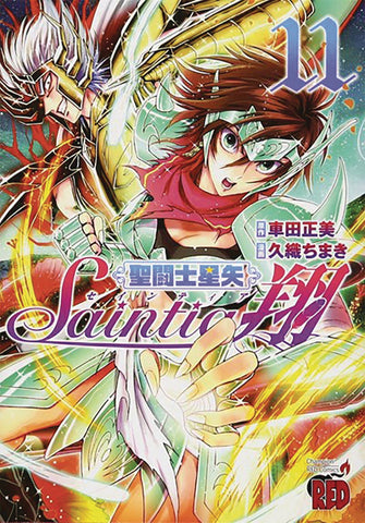 Saint Seiya Saintia Sho Volume 11