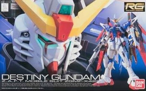 Destiny Gundam 1/144 RG